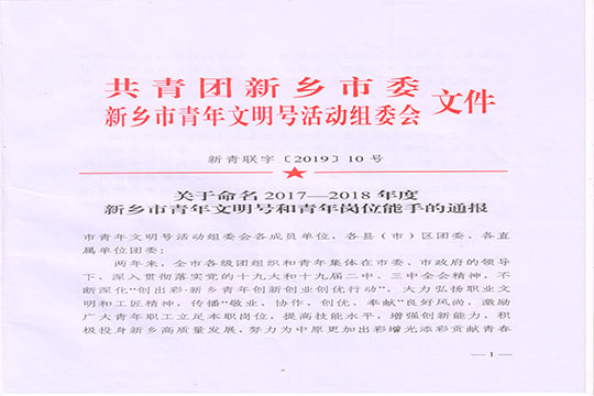 新乡市委文件.jpg 新乡市委文件.jpg